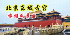 日屄视屏中国北京-东城古宫旅游风景区